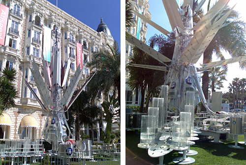 Oasis, Cannes