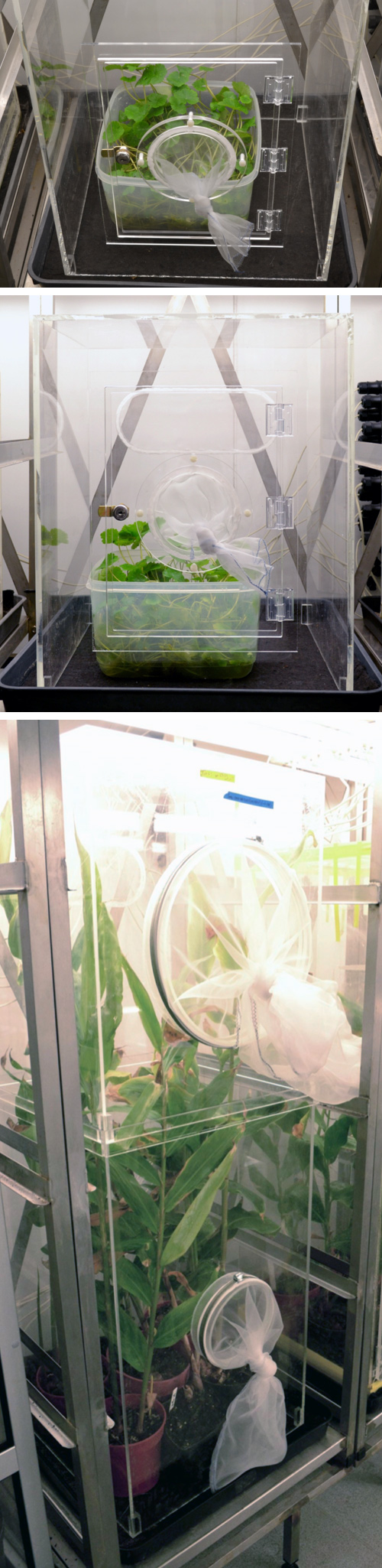 Biological Research Cases